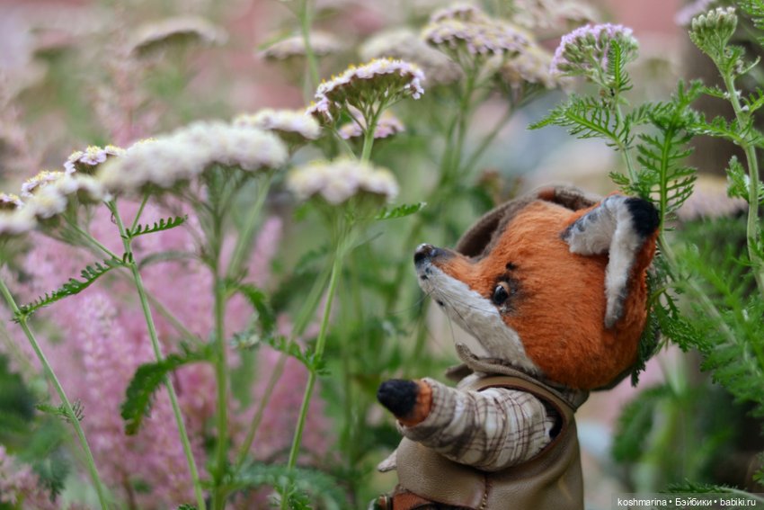 Как я с выставки "Розы-березы" домой лиса вела