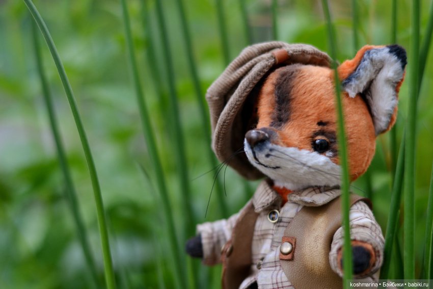 Как я с выставки "Розы-березы" домой лиса вела