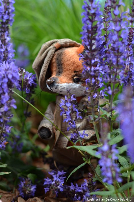 Как я с выставки "Розы-березы" домой лиса вела (фото 4)