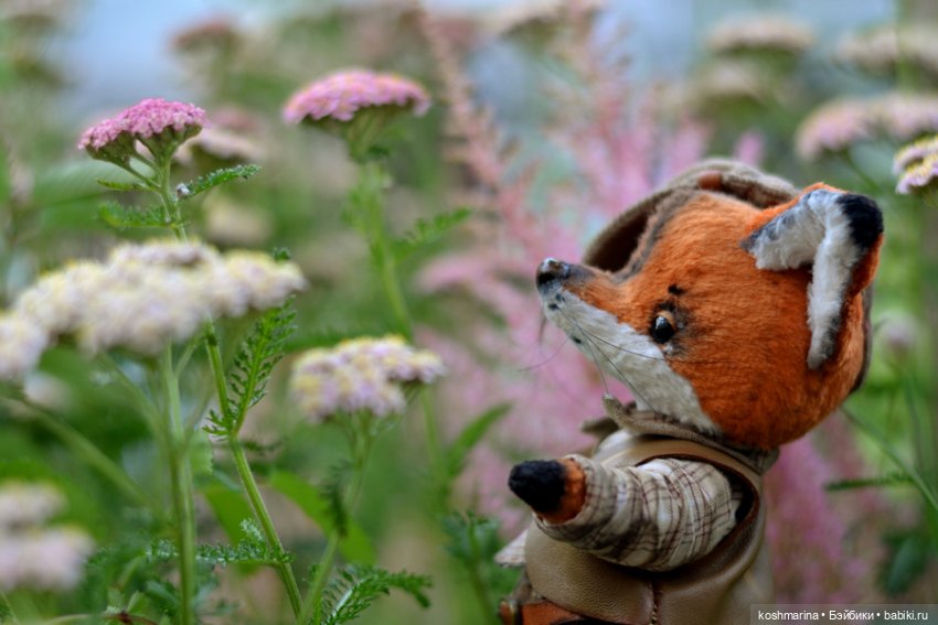 Как я с выставки "Розы-березы" домой лиса вела