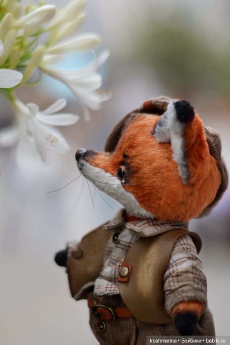 Как я с выставки "Розы-березы" домой лиса вела (фото 5)