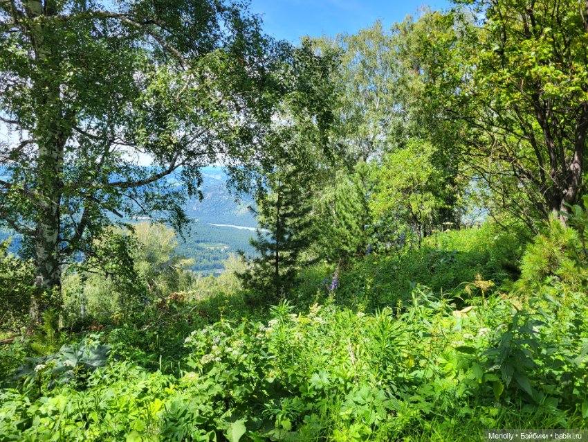 Гора Малая Синюха или Большое приключение маленьких фигурок (фото 3)