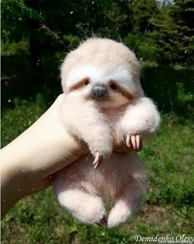 Тедди ленивец с выкройкой, автор Олеся Демиденко (фото 2)