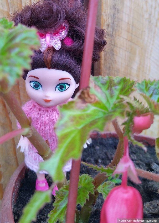 Привет Марианне от Маши — Игровые куклы разных производителей (Разное): редкие бренды (фото 3)