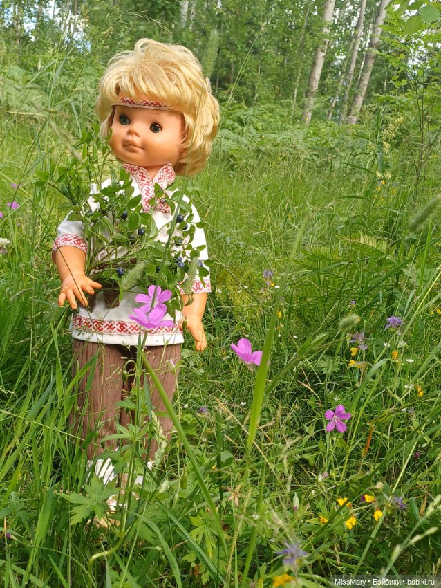 Как Вася по грибы ходил — Винтажные куклы ГДР (Немки): Бигги