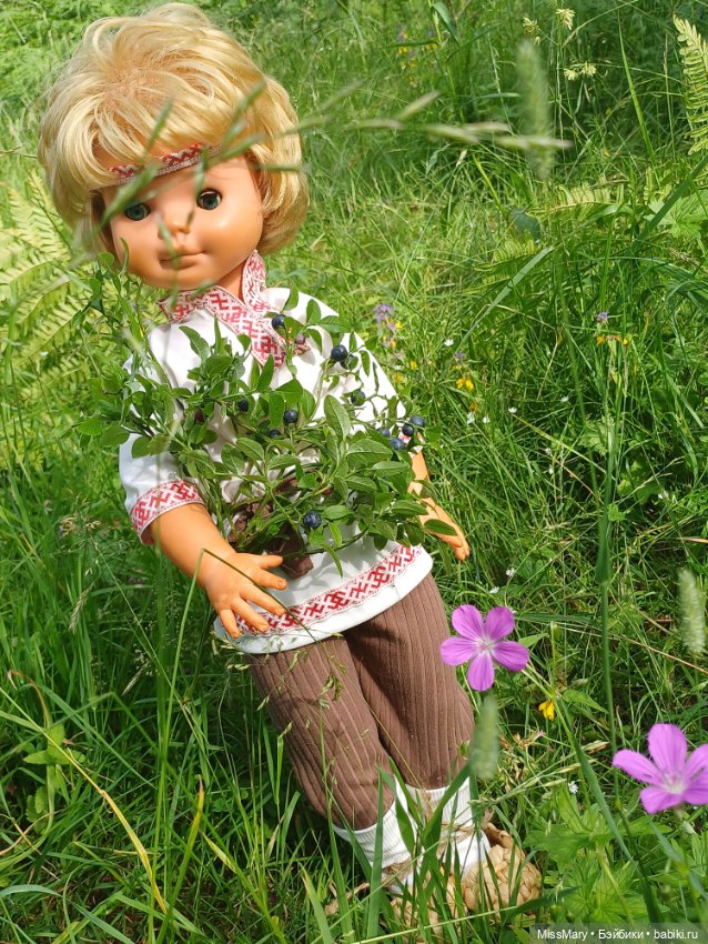 Как Вася по грибы ходил — Винтажные куклы ГДР (Немки): Бигги