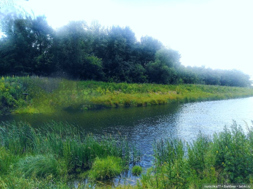 Про Нафочку. Долгий путь в страну свободных поросят