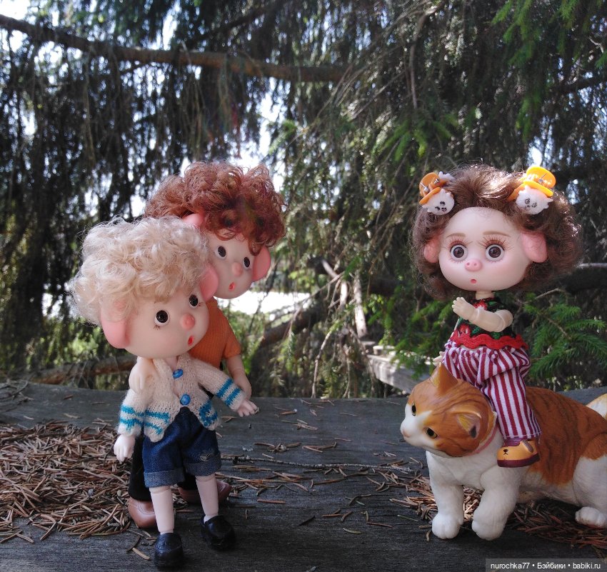 Про Нафочку. Долгий путь в страну свободных поросят (фото 3)