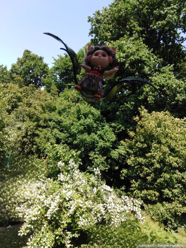 Про Нафочку. Долгий путь в страну свободных поросят