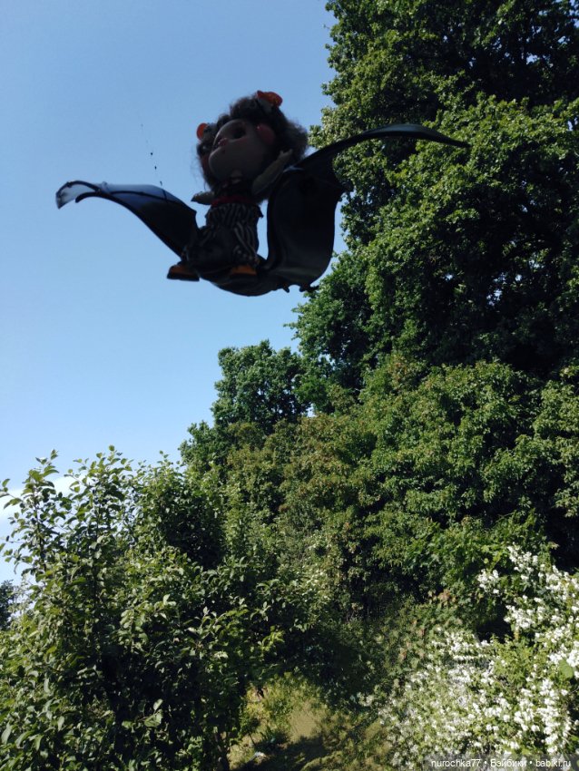 Про Нафочку. Долгий путь в страну свободных поросят (фото 10)