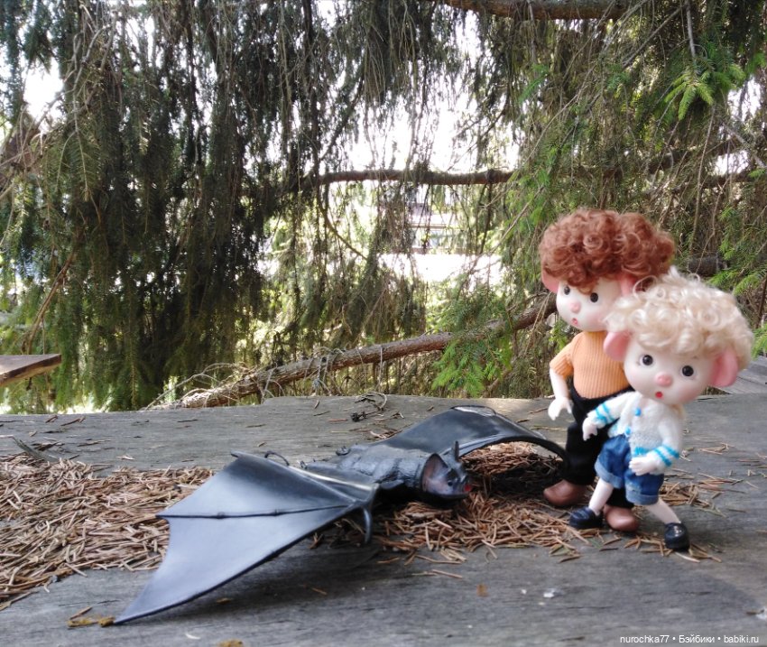 Про Нафочку. Долгий путь в страну свободных поросят (фото 5)