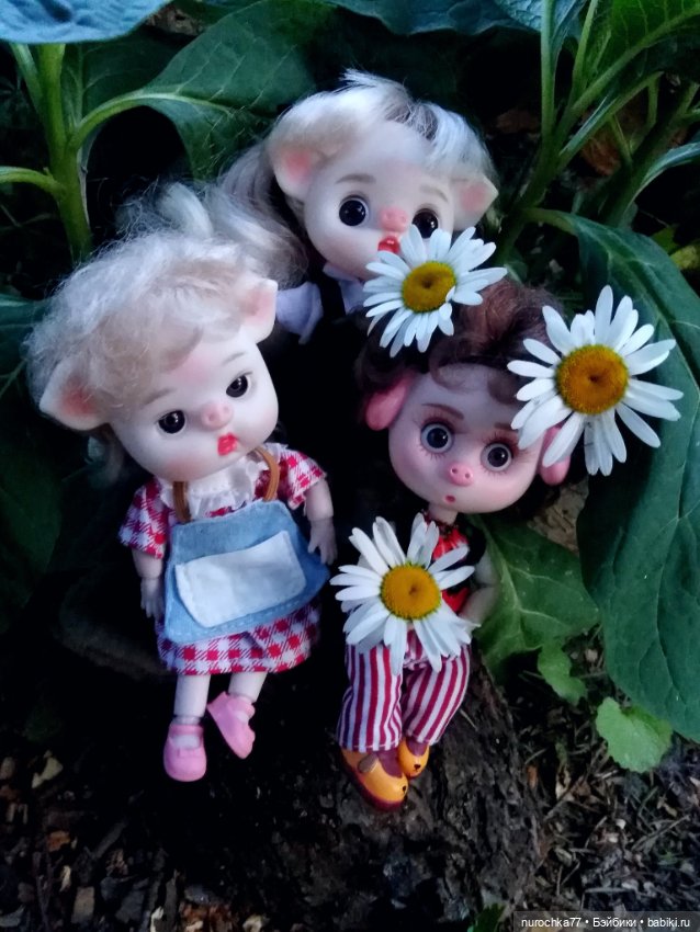 Про Нафочку. Свободная земля