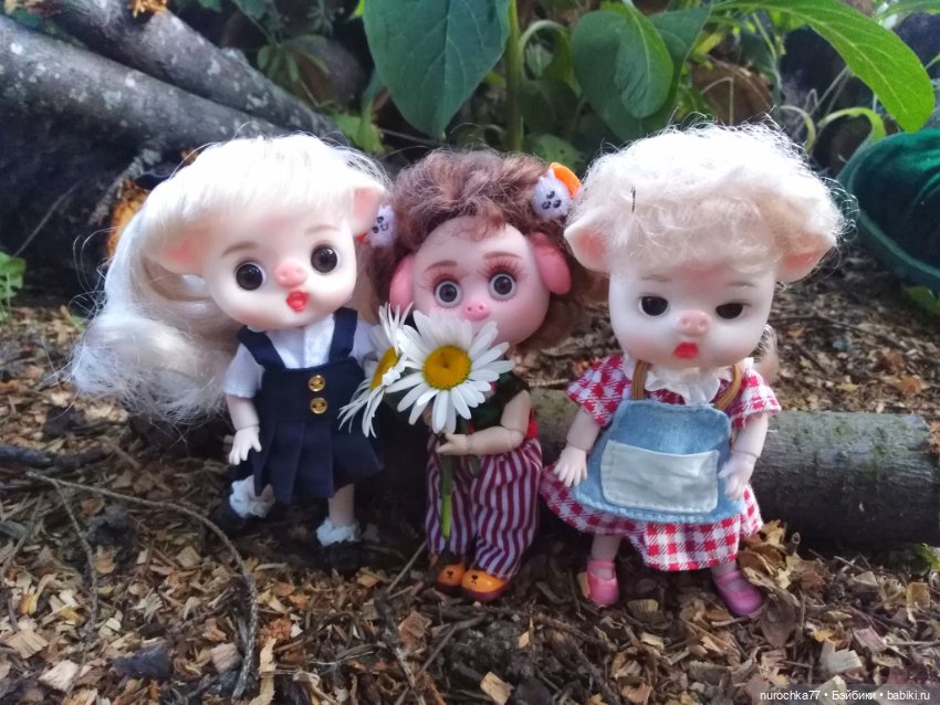 Про Нафочку. Свободная земля