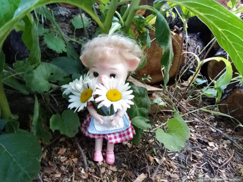 Про Нафочку. Свободная земля