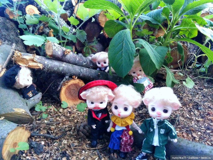 Про Нафочку. Свободная земля (фото 10)