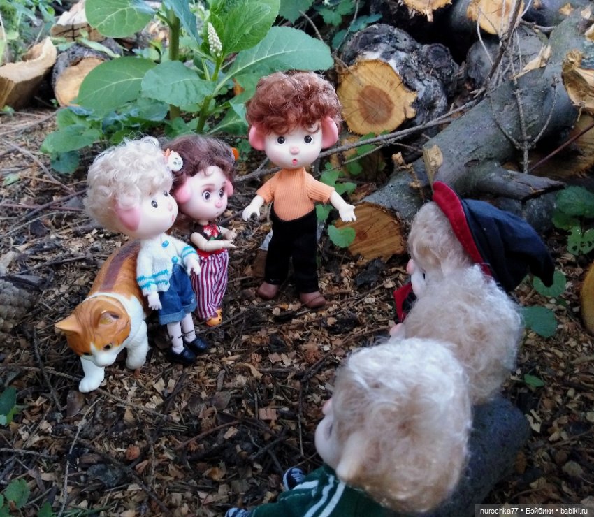 Про Нафочку. Свободная земля (фото 8)