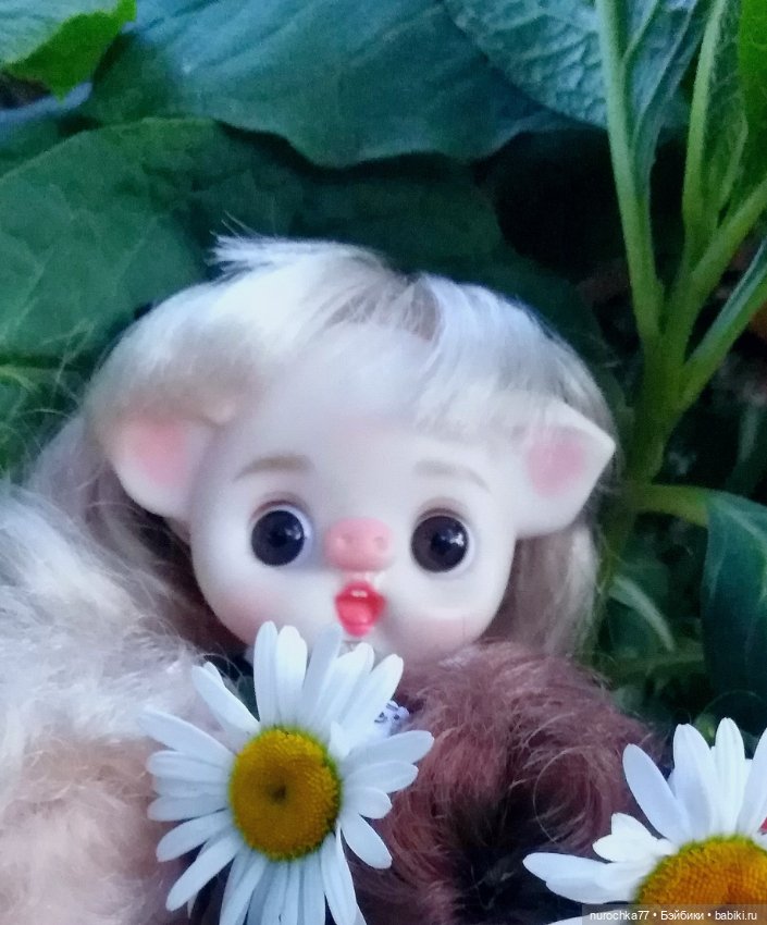 Про Нафочку. Свободная земля