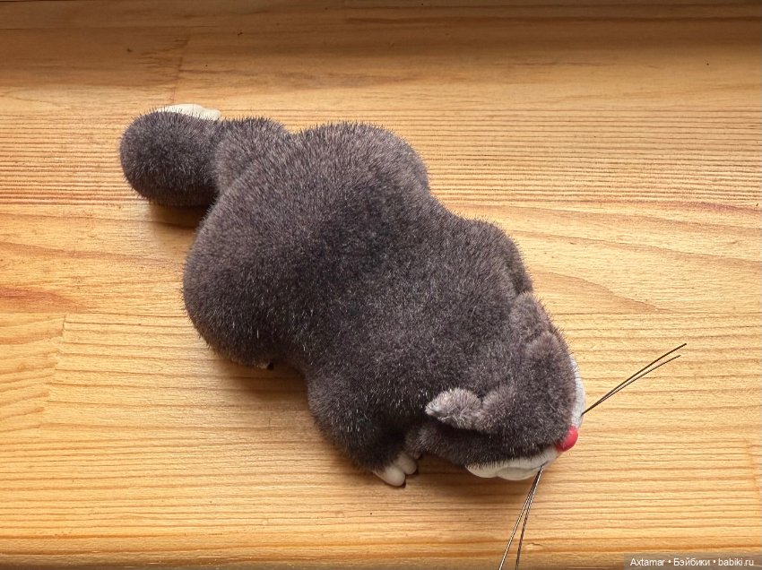 Внебрачный сын Бендера🤷❤️ (фото 5)