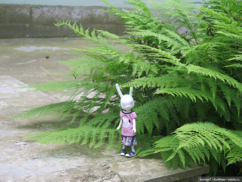 Usaggie Клэр и Jossie Иевочка в Питере