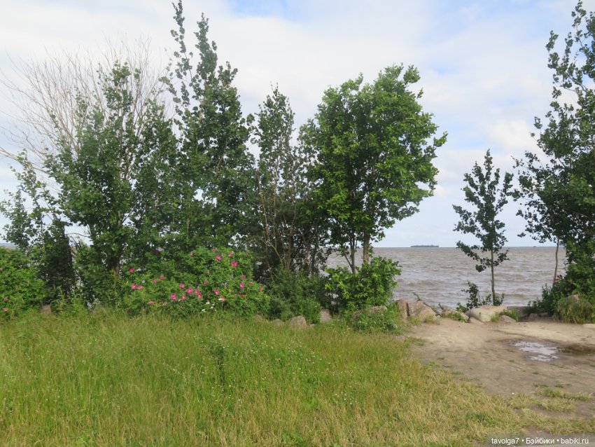 Usaggie Клэр и Jossie Иевочка в Питере (фото 5)