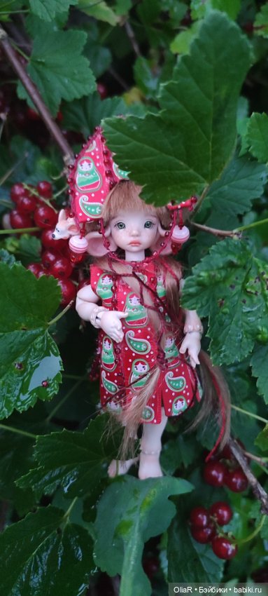 Царевна Красная Смородина (фото 7)