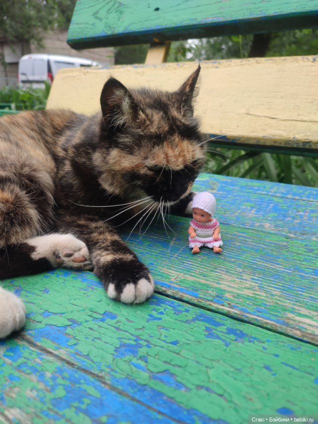 Пупсячьи прогулки )🤗☀️🌿 — Мини