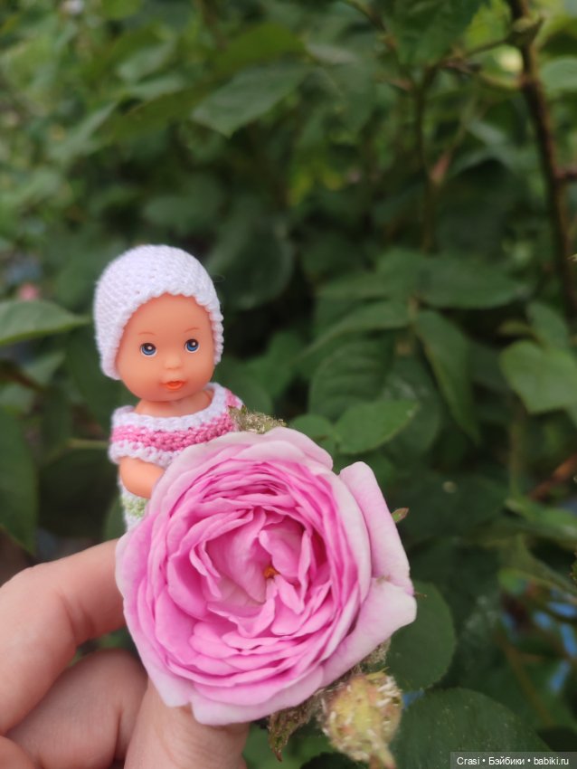 Пупсячьи прогулки )🤗☀️🌿 — Мини