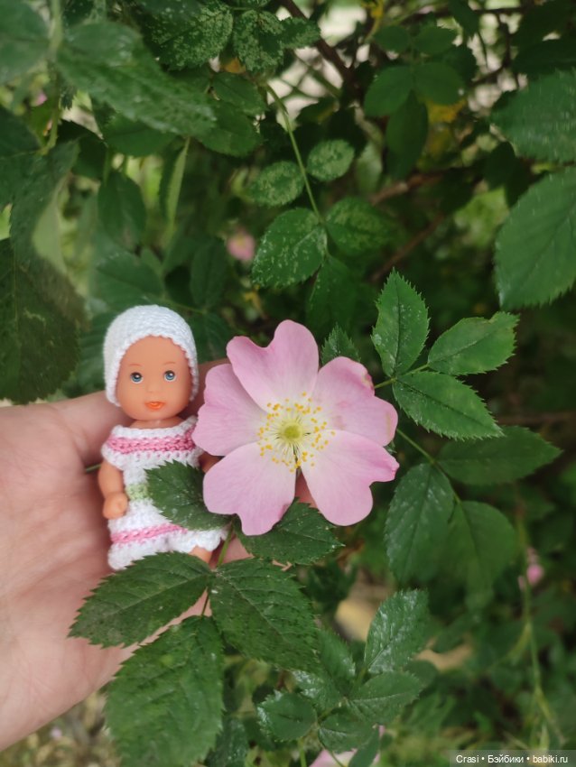 Пупсячьи прогулки )🤗☀️🌿 — Мини