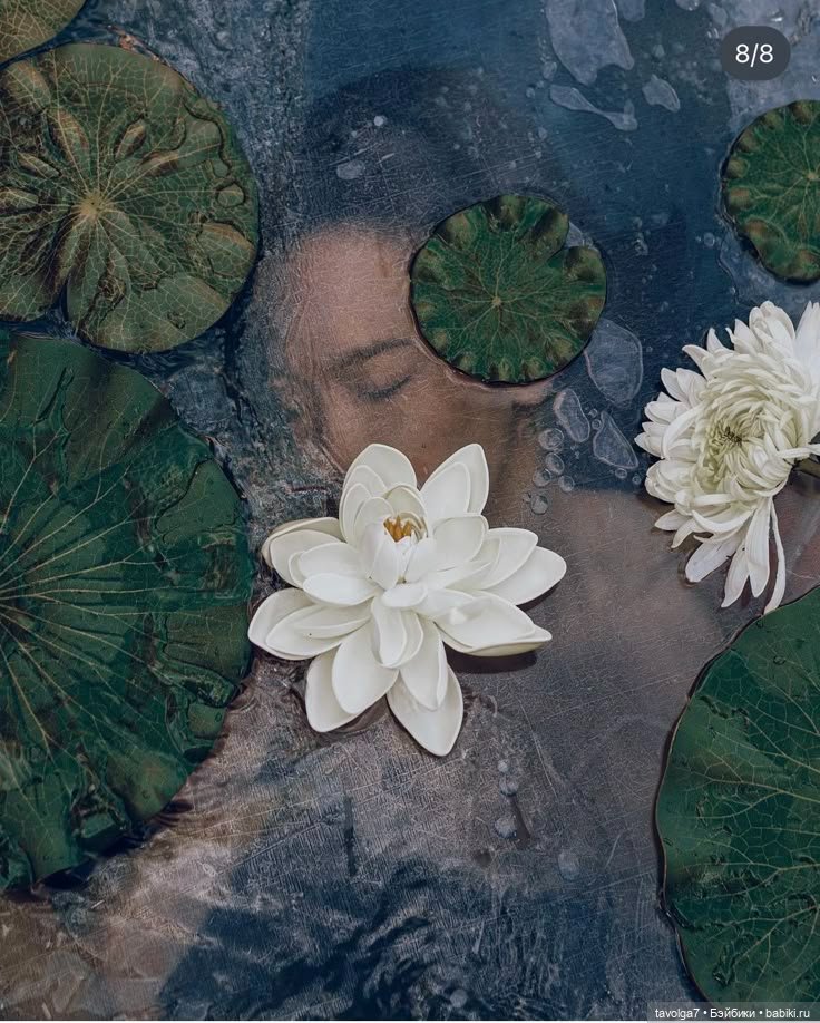 Кувшинки в ювелирных украшениях