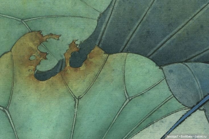 Кувшинки в ювелирных украшениях