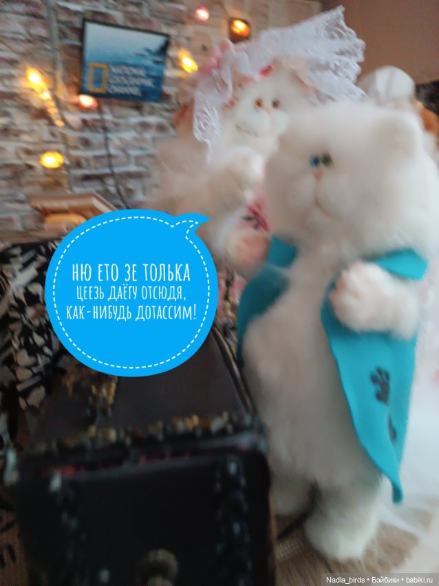 Кафе "Кошачья Лапка": семейный бизнес (фото 8)