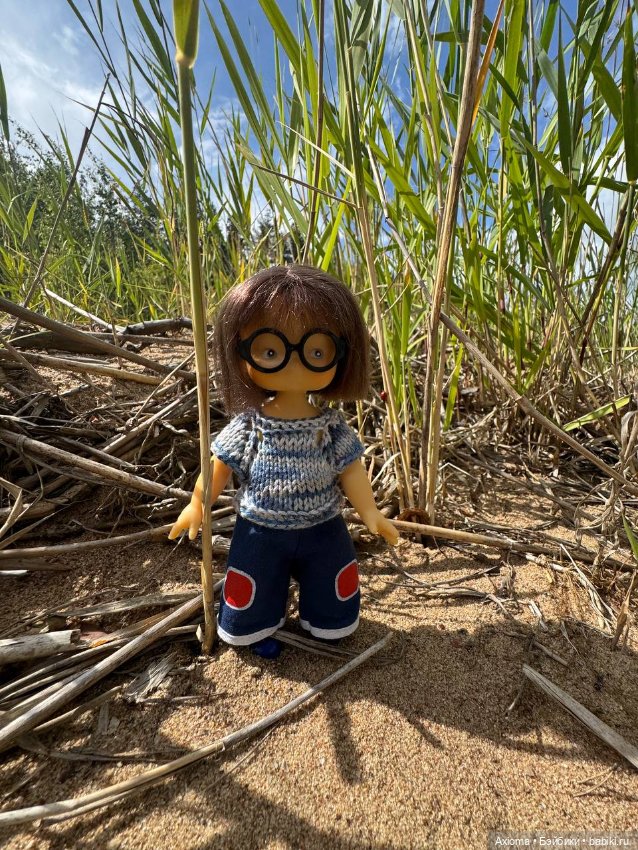 Большое путешествие маленькой Молли