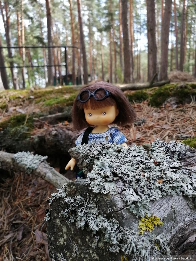 Большое путешествие маленькой Молли (фото 3)