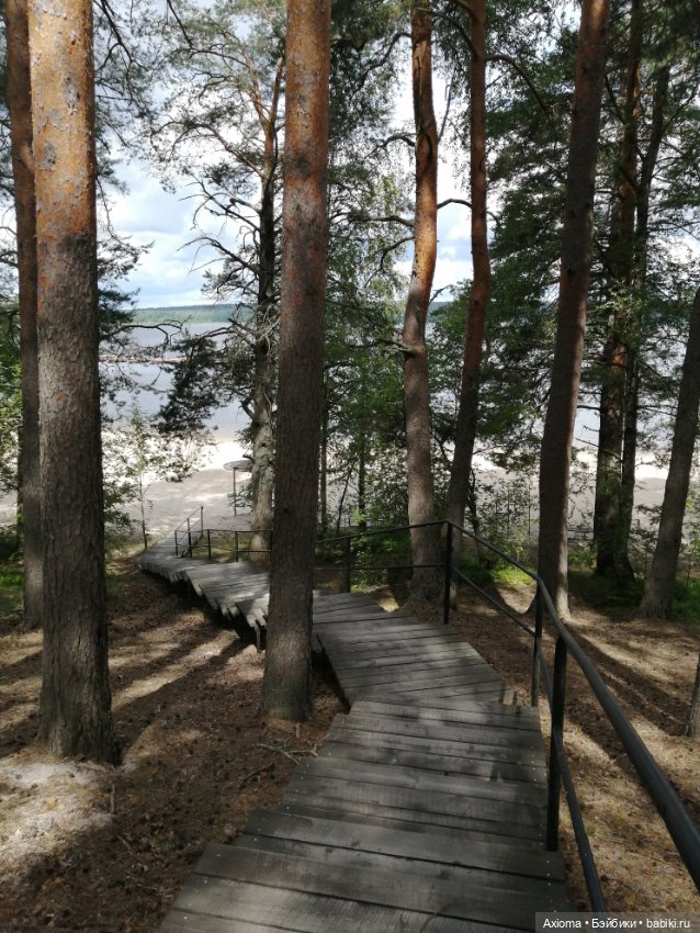 Большое путешествие маленькой Молли