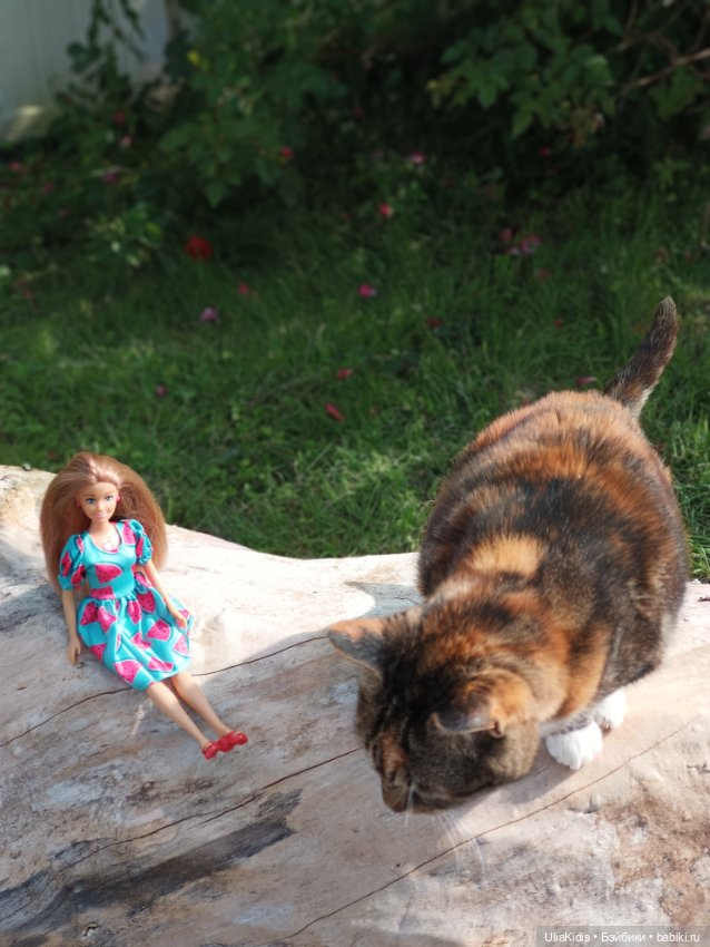 Прогулка на блошиный рынок. Неожиданные новые жители (фото 3)