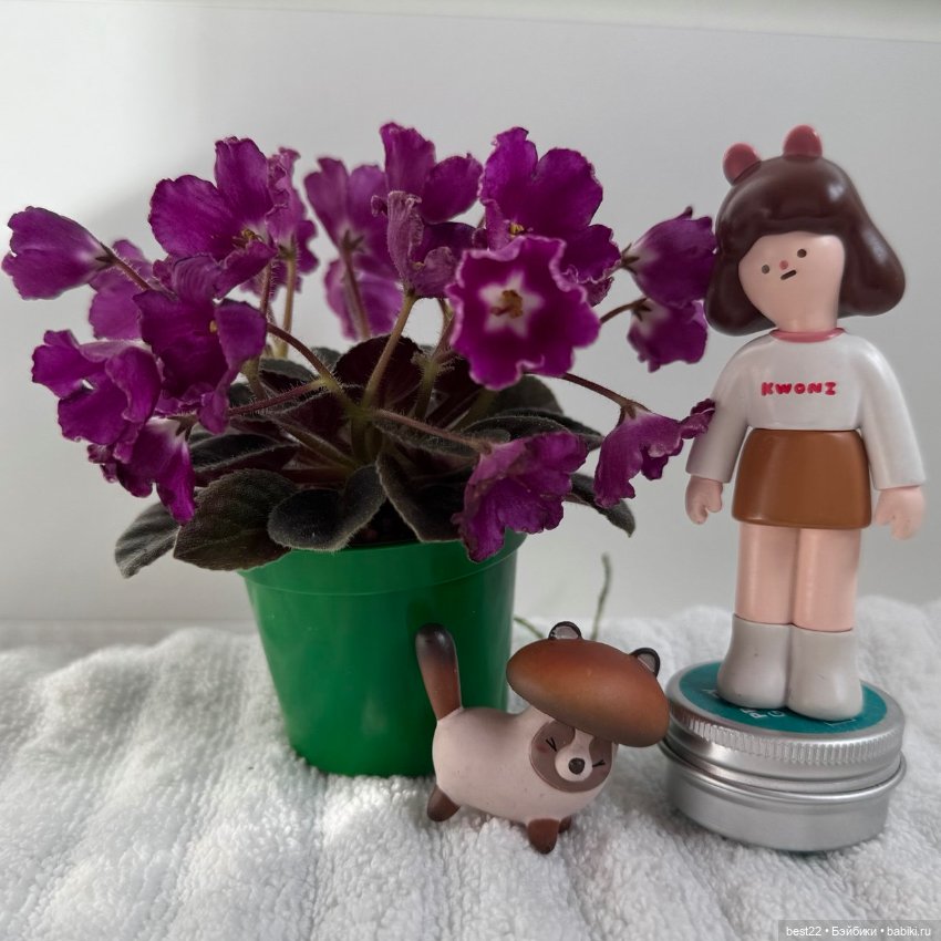 Фиалковое настроение — Красивая природа и цветы: фото пейзажей