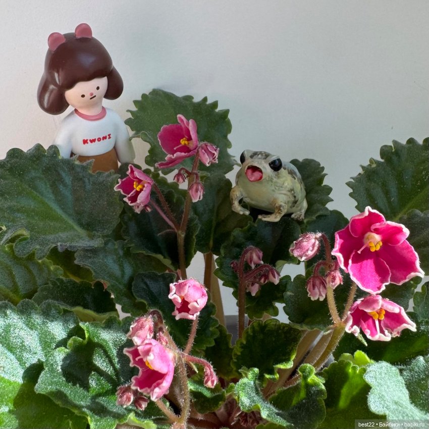 Фиалковое настроение — Красивая природа и цветы: фото пейзажей