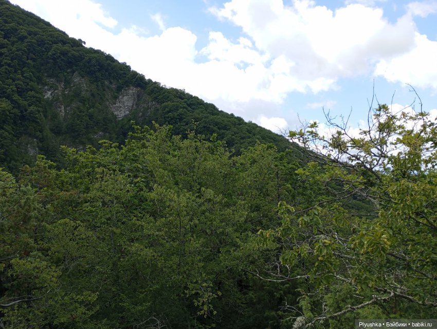 Роботы и горы — Домашние фото авторских игрушек: Тедди (фото 4)