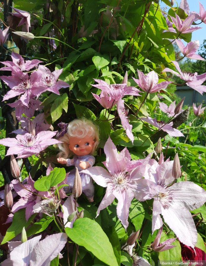 Дачный найдёныш — Куклы Копытки (Schalkau) ГДР: винтаж