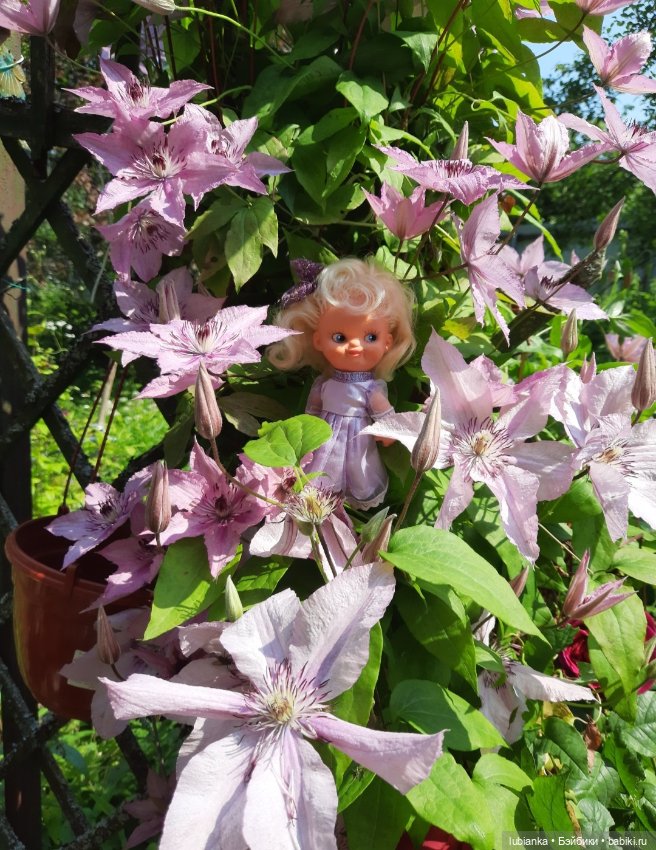 Дачный найдёныш — Куклы Копытки (Schalkau) ГДР: винтаж