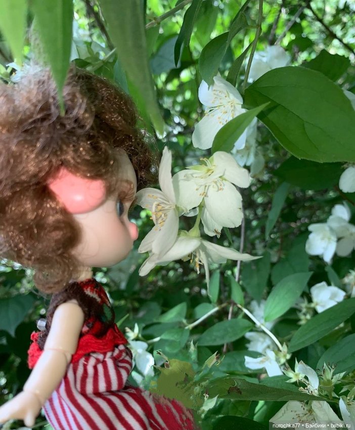 Про Нафочку. Самозанятая — Гибриды шарнирных кукол (не БЖД): подбор тела (фото 3)