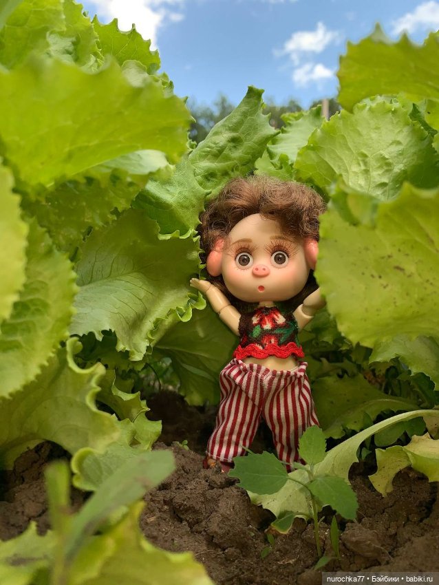 Про Нафочку. Самозанятая — Гибриды шарнирных кукол (не БЖД): подбор тела (фото 7)