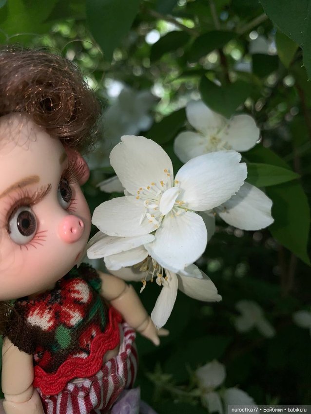 Про Нафочку. Самозанятая — Гибриды шарнирных кукол (не БЖД): подбор тела