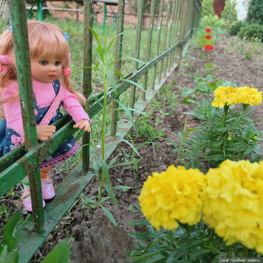 Летние прогулки Эмилии 🍒🍋‍🟩💛( Габриэль Мюллер 23см Gabriel Muller)