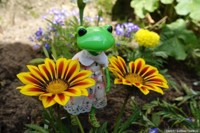 Моя лягушечка Wonder frog (фото 10)