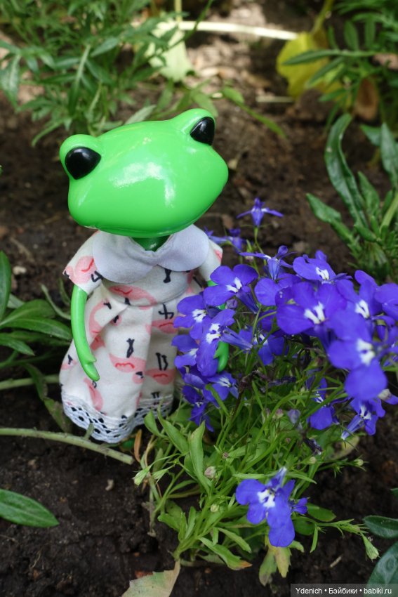 Моя лягушечка Wonder frog