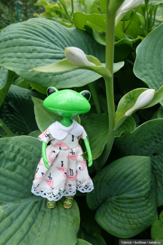 Моя лягушечка Wonder frog (фото 5)