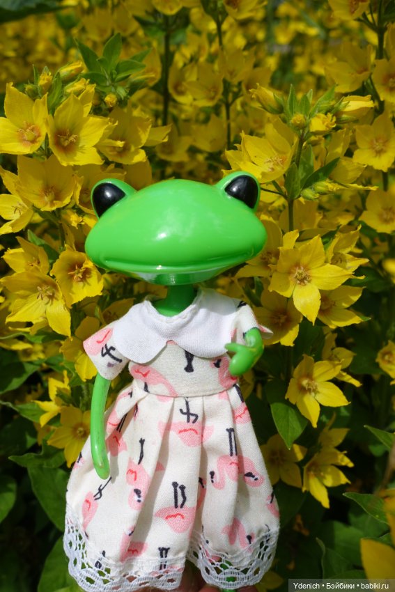 Моя лягушечка Wonder frog (фото 8)