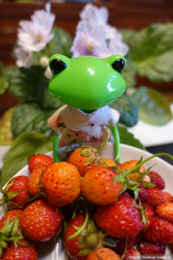 Моя лягушечка Wonder frog (фото 3)