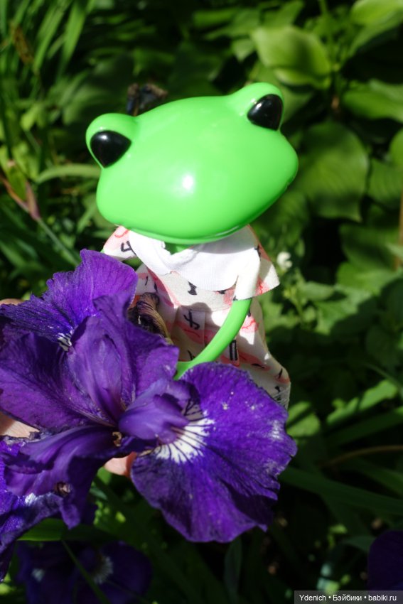 Моя лягушечка Wonder frog (фото 9)